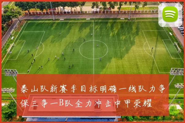 泰山队新赛季目标明确一线队力争保三争一B队全力冲击中甲荣耀